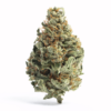 Hempa (Cannabis)